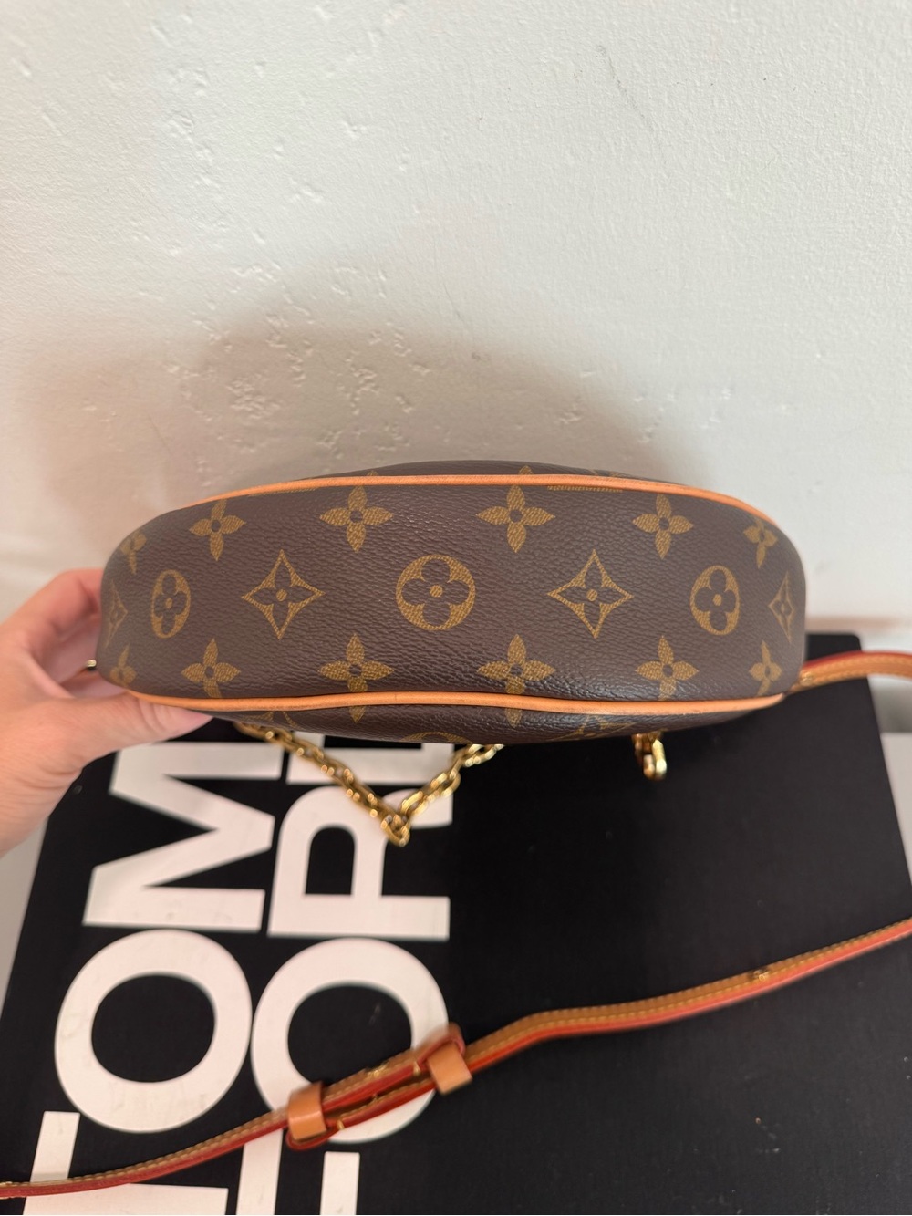 Louis Vuitton Monogram Loop PM - Picture 4 of 7